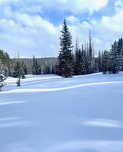 Cabin 4