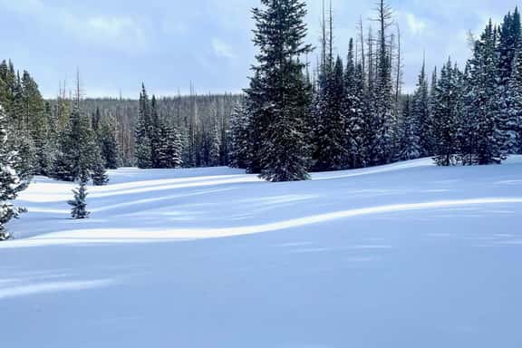 Cabin 4 - Image 1