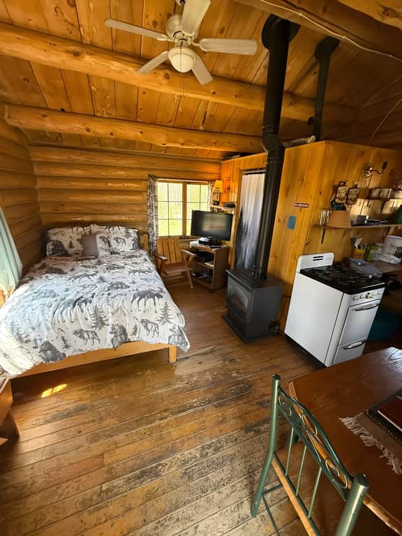 Cabin 8